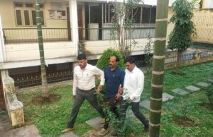 ಮೈಸೂರು: ನಿವೇಶನ ಖಾತೆಗೆ ಲಂಚ ಪಡೆಯುತ್ತಿದ್ದ ವಿಶೇಷ ತಹಶೀಲ್ದಾರ್ ಸೇರಿದಂತೆ ಮೂವರು ಲೋಕಾಯುಕ್ತ ಬಲೆಗೆ