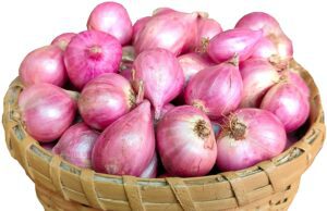 ಉಳ್ಳಾಗಡ್ಡೆ