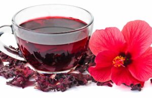 ದಾಸವಾಳ ಹೂವಿನಿಂದ ಎಷ್ಟೆಲ್ಲಾ ಉಪಯೋಗವಿದೆ ಗೊತ್ತೇ?