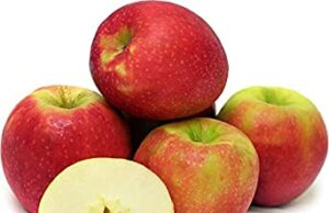 ಸೇಬು ಮಲಬದ್ದತೆಯಿಂದ ಹಿಡಿದು ಜೀರ್ಣಕ್ರಿಯೆಗೆ ಸಂಬಂಧಿಸಿದ ಎಲ್ಲಾ ಸಮಸ್ಯೆಗೆ ಚಿಕಿತ್ಸೆ ಪರಿಣಾಮಕಾರಿ