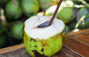 ಮೂತ್ರಪಿಂಡ ರೋಗಿಗಳು ಎಳನೀರು ಕುಡಿಯಬಹುದೇ ?