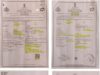 ಬದುಕಿದ್ದ ವ್ಯಕ್ತಿಗೆ ಡೆತ್ ಸರ್ಟಿಫಿಕೇಟ್ ನೀಡಿದ ಗ್ರಾಮಲೆಕ್ಕಿಗನ ವಿರುದ್ಧ ಪ್ರಕರಣ ದಾಖಲು