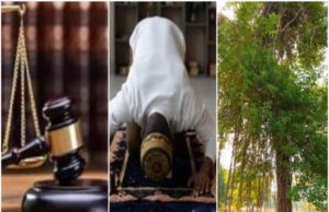 ರಸ್ತೆ ರಂಪ: ಮುಸ್ಲಿಂ ವ್ಯಕ್ತಿಗೆ ದಿನಕ್ಕೆ 5 ಬಾರಿ ನಮಾಜ್ ಮಾಡಲು, 2 ಮರ ನೆಡಲು ಮಾಲೆಗಾಂವ್ ನ್ಯಾಯಾಲಯದ ಆದೇಶ