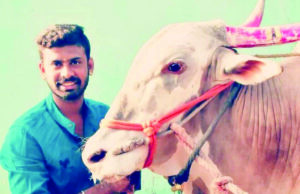 ಐಪಿಎಲ್ ಕ್ರಿಕೆಟ್ ಬೆಟ್ಟಿಂಗ್ ದಂಧೆಗೆ ಬಲಿಯಾದ ಯುವಕ