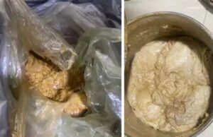 25 ಕೋಟಿ ರೂ. ಮೌಲ್ಯದ ತಿಮಿಂಗಿಲದ ವಾಂತಿ ಮಾರಾಟಕ್ಕೆ ಯತ್ನ: ಕೇರಳ ಮೂಲದ ಮೂವರ ಬಂಧನ