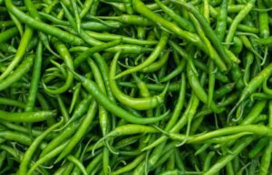 ಹಸಿರು ಮೆಣಸಿನಕಾಯಿ ಸೇವಿಸುವುದರಿಂದಾಗುವ ಉಪಯೋಗಗಳು