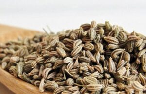 ಆಹಾರದಲ್ಲಿ ರುಚಿ ಇಲ್ಲದಿದ್ದಾಗ