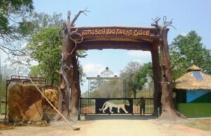 ನಾಗರಹೊಳೆ ವಲಯದಲ್ಲಿ ಜು.31ರವರೆಗೆ ಸಫಾರಿ ಬಂದ್