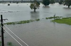 ಭಾರೀ ಮಳೆಯಿಂದಾಗಿ ಬೆಳಗಾವಿ ಜಿಲ್ಲೆಯ 15 ಸೇತುವೆ ಮುಳುಗಡೆ