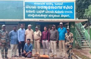 ಅಕ್ರಮವಾಗಿ ಗಂಧದ ಮರ ಕಟಾವು: ಓರ್ವನ ಬಂಧನ