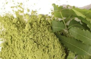 ಮನೆ ಮದ್ದು: ಬೇವಿನ ಚೂರ್ಣ
