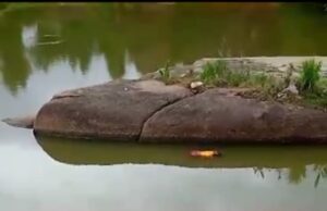 ತುಮಕೂರು: ಬಟ್ಟೆ ತೊಳೆಯಲು ಹೋಗಿದ್ದಾಗ ಕಾಲು ಜಾರಿ ನೀರಿಗೆ ಬಿದ್ದು ಮಹಿಳೆ ಸಾವು