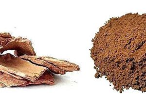 ಅರ್ಜುನನ ಚೂರ್ಣ(ಹೊಳೆಮತ್ತಿ)