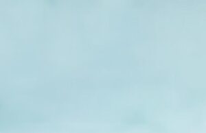 ಕರೇಲಾ-ಜಾಮೂನ್ ಜ್ಯೂಸ್