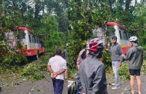 ಗುದ್ದಿದ ರಭಸಕ್ಕೆ ಕೆ.ಎಸ್.ಆರ್.ಟಿ.ಸಿ ಬಸ್ಸಿನ ಮೇಲೆ ಬಿದ್ದ ಮರ: ಪ್ರಯಾಣಿಕರು ಪಾರು