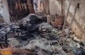 ಕೊಟ್ಟಿಗೆಗೆ ಆಕಸ್ಮಿಕ ಬೆಂಕಿ: ಎರಡು ಎಮ್ಮೆ ಸಾವು