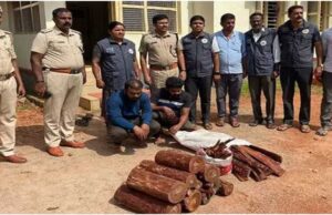 ಮಂಗಳೂರು: ಅಕ್ರಮವಾಗಿ ಸಾಗಿಸುತ್ತಿದ್ದ ಇಬ್ಬರ ಬಂಧನ- 125 ಕೆಜಿ ರಕ್ತ ಚಂದನ ವಶ