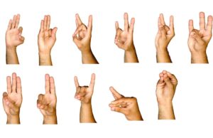 ಮುದ್ರೆಗಳು: ಭಾಗ-2