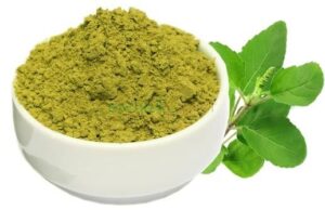 ಮನೆ ಮದ್ದು: ತುಳಸಿ ಚೂರ್ಣ