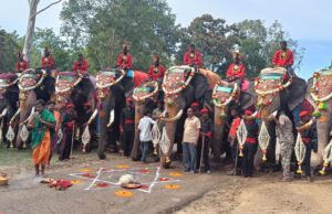 ಮೈಸೂರು: ದಸರಾ ಮಹೋತ್ಸವದಲ್ಲಿ ಭಾಗಿಯಾಗಲಿರುವ ಆನೆಗಳ ವಿವರ