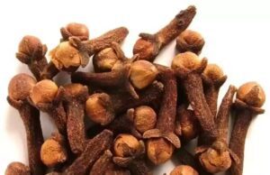 ಲವಂಗ: ಮನೆ ಮದ್ದು