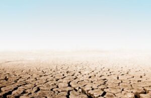 ರಾಜ್ಯದ 161 ತಾಲ್ಲೂಕುಗಳು ಬರ ಪೀಡಿತ: ಅಧಿಕೃತ ಘೋಷಣೆ