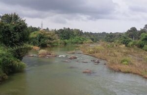 ಇಂದು ಕಾವೇರಿ ನದಿ ನಿಯಂತ್ರಣ ಸಮಿತಿ ಸಭೆ