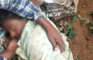 ಸರಗೂರು: ಕಾಡಾನೆ ದಾಳಿಯಿಂದ ರೈತ ಸಾವು