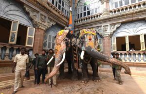 ದಸರಾ ಮಹೋತ್ಸವದಲ್ಲಿ ಪಾಲ್ಗೊಂಡ ಗಜಪಡೆಯ ತೂಕ ಪರೀಕ್ಷೆ