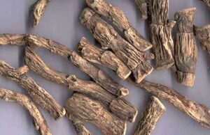 ಬಜೆ (acorus calamus)