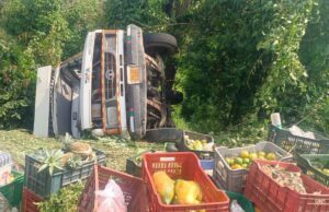 ಮಂಗಳೂರು: ಬ್ರೇಕ್ ವೈಫಲ್ಯದಿಂದ ಪಲ್ಟಿಯಾದ ಹಣ್ಣುಹಂಪಲು ಹೊತ್ತ ಟೆಂಪೊ