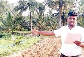 ಹಳೇ ವೈಷಮ್ಯ: ಅಡಿಕೆ ಸಸಿ, ತೊಂಡೆ ಬೆಳೆ ನಾಶ