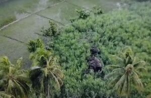 ಮಂಡ್ಯ: ಆನೆಗಳ ಕಾಡಿಗಟ್ಟಲು ಡ್ರೋನ್ ತಂತ್ರಜ್ಞಾನ ಬಳಕೆ