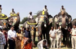 ನಾಡಿನಿಂದ ಕಾಡಿಗೆ ಪ್ರಯಾಣ ಬೆಳೆಸಿದ ಗಜಪಡೆ: ಮಾವುತರು ಕಾವಾಡಿಗಳಿಗೆ ಹೆಚ್ಚು ಗೌರವ ಧನ ನೀಡಿ ಬಿಳ್ಕೊಡುಗೆ