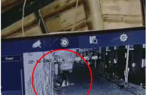 ಮೈಸೂರು ಹಣ್ಣುಗಳ ಮಾರುಕಟ್ಟೆಯಲ್ಲಿ ಹಣ್ಣುಗಳ ಕಳವು: ಸಿಸಿಟಿವಿ ಕ್ಯಾಮೆರಾದಲ್ಲಿ ಕೃತ್ಯ ಸೆರೆ