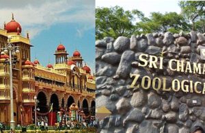 ಅರಮನೆ, ಮೃಗಾಲಯಕ್ಕೆ ಲಕ್ಷಾಂತರ ಪ್ರವಾಸಿಗರ ಭೇಟಿ: ಆದಾಯ ಹೆಚ್ಚಳ