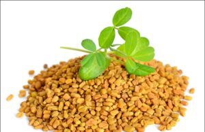 ಮೆಂತೆ ಬೀಜ