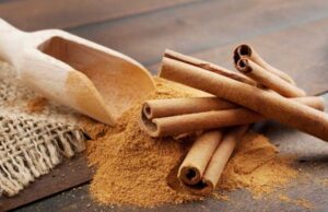 ದಾಲ್ಚಿನ್ನಿ