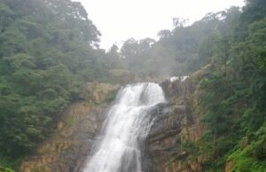 ಬುರುಡೆ ಜಲಪಾತ