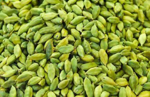 ಏಲಕ್ಕಿ ಸೇವನೆಯಿಂದ ಹಲವು ಪ್ರಯೋಜನ: ಅತಿಯಾದರೆ ಸಮಸ್ಯೆ