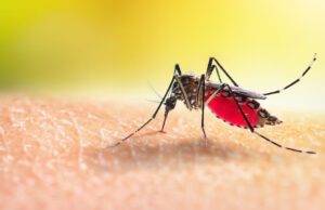 ಕೇರಳದಲ್ಲಿ ಝಿಕಾ ವೈರಸ್ ಪತ್ತೆ: ತಲಸ್ಸೆರಿ ನ್ಯಾಯಾಲಯದ ಸಿಬ್ಬಂದಿಗೆ ವೈದ್ಯಕೀಯ ತಪಾಸಣೆ