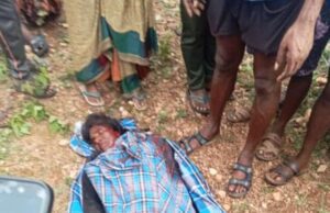 ಮೈಸೂರು: ಹುಲಿ ದಾಳಿಗೆ ಮಹಿಳೆ ಬಲಿ