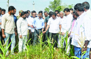 ಕೇಂದ್ರದ ಹಣ ಬಿಡುಗಡೆ ವಿಳಂಬವಾದರೆ ರಾಜ್ಯ ಸರ್ಕಾರದಿಂದಲೇ ಬರ ಪರಿಹಾರ: ಸಚಿವ ಚಲುವರಾಯಸ್ವಾಮಿ