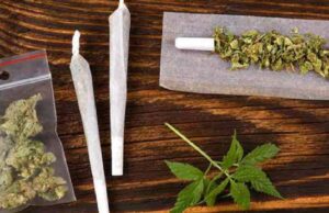 ಹೆಚ್.ಎಸ್.ಆರ್. ಲೇಔಟ್ ಪೊಲೀಸರ ಕಾರ್ಯಾಚರಣೆ: ರೂ.60 ಲಕ್ಷ ಮೌಲ್ಯದ ಗಾಂಜಾ ಜಪ್ತಿ!