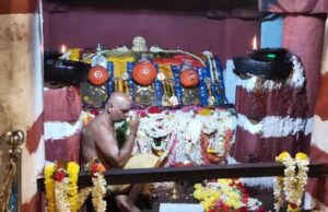 ಹಾಸನಾಂಬ ದೇವಿ ದರ್ಶನ: ಭಕ್ತರ ದಂಡು, ಕೋಟ್ಯಾಂತರ ರೂಪಾಯಿ ಆದಾಯ