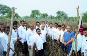 ಬರ ಪರಿಸ್ಥಿತಿ ಬಗ್ಗೆ ಚಳಿಗಾಲದ ಅಧಿವೇಶನದಲ್ಲಿ ಪಕ್ಷದ ಶಾಸಕರು ಧ್ವನಿ ಎತ್ತಲಿದ್ದಾರೆ: ಸಿ.ಎಸ್.ಪುಟ್ಟರಾಜು