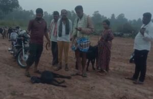 ಹಾಡುಹಗಲೇ ಮೇಕೆ ಮೇಲೆ ಚಿರತೆ ದಾಳಿ: ಗ್ರಾಮಸ್ಥರಲ್ಲಿ ಆತಂಕ