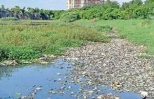 ಅಕ್ರಮವಾಗಿ ರಸ್ತೆ ನಿರ್ಮಿಸಲು ಪಟ್ಟಂದೂರು ಅಗ್ರಹಾರ ಕೆರೆ ಬಫರ್ ಝೋನ್ ಒತ್ತುವರಿ