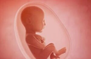 ಬಾಗಲಕೋಟೆ ಭ್ರೂಣಹತ್ಯೆ ಪ್ರಕರಣ: ಉಪ ವಿಭಾಗಾಧಿಕಾರಿ ಸಹಿತ ಐವರು ಹಿರಿಯ ಅಧಿಕಾರಿಗಳಿಗೆ ನೋಟಿಸ್ ಜಾರಿ