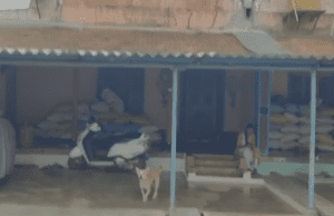 8 ವರ್ಷ ಪ್ರೀತಿಸಿ ಕೈಕೊಟ್ಟ ಪ್ರಿಯಕರ: ನ್ಯಾಯಕ್ಕಾಗಿ ಯುವಕನ ಮನೆ ಮುಂದೆ ಯುವತಿ ಧರಣಿ